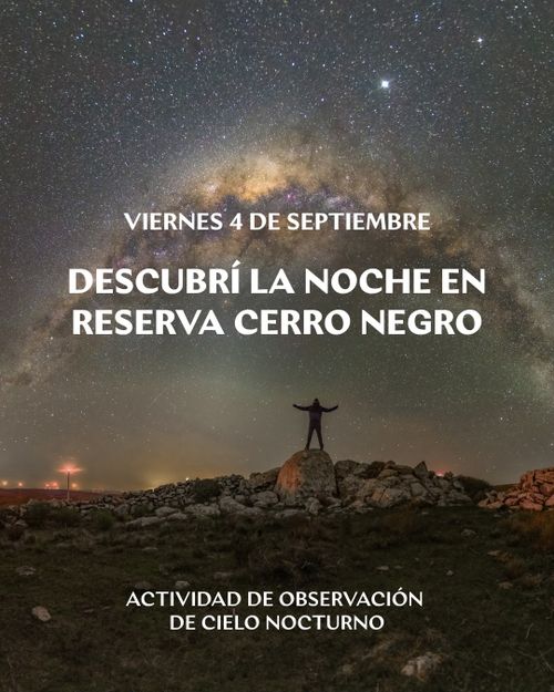 Descubre la noche en Ambá