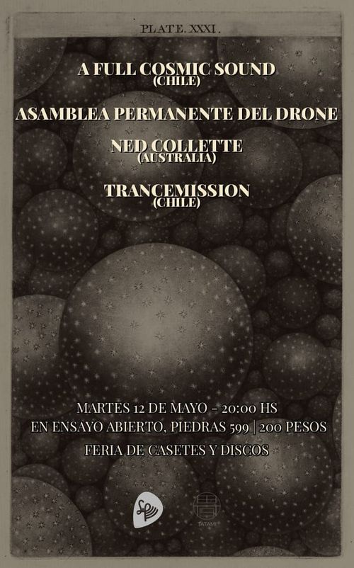 PLATE.XXXI.