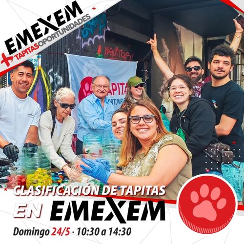 Clasificación de Tapitas en Emexem (de Tapitas Oportunidades)